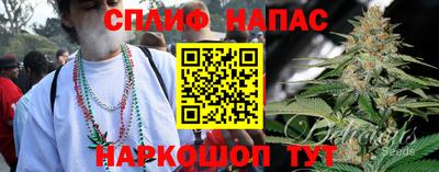 герыч Кингисепп